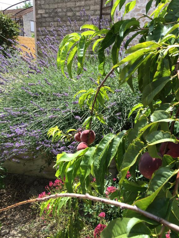 Mas Moineau Bed & Breakfast Mezoargues ภายนอก รูปภาพ